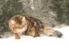 img_3879_small.jpg