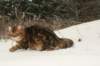 img_3900_small.jpg