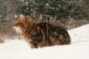 img_3901_small.jpg