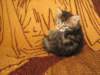 Photo Number 11