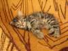 Photo Number 13