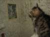 Photo Number 14