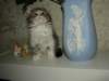 Photo Number 5
