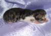 Photo Number 6