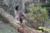 dana115viikkoa171020263_small.jpg