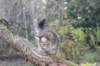 dana115viikkoa171020266_small.jpg