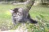 dana85vi289202654_small.jpg