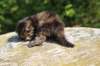 danaf2415820263_small.jpg