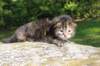 danaf24158202640_small.jpg