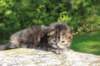 danaf24158202646_small.jpg