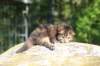 danaf2415820266_small.jpg
