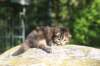 danaf2415820267_small.jpg