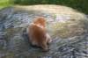 debird04241582026100_small.jpg