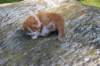 debird04241582026107_small.jpg