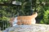 debird0424158202639_small.jpg