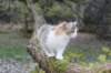 deborah115viikkoa1710202612_small.jpg