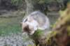 deborah115viikkoa1710202618_small.jpg