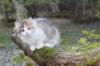 deborah115viikkoa1710202619_small.jpg