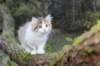 deborah115viikkoa1710202621_small.jpg