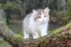 deborah115viikkoa1710202622_small.jpg
