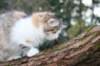deborah115viikkoa1710202641_small.jpg