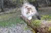 deborah115viikkoa171020269_small.jpg