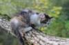 deborah85vi289202610_small.jpg