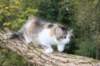 deborah85vi289202615_small.jpg