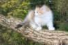 deborah85vi289202621_small.jpg