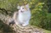 deborah85vi289202628_small.jpg