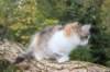 deborah85vi289202633_small.jpg