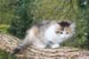 deborah85vi289202636_small.jpg