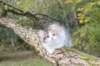deborah85vi289202644_small.jpg