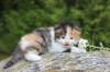 deborahf0323168202610_small.jpg