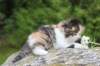 deborahf0323168202611_small.jpg