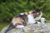 deborahf0323168202612_small.jpg