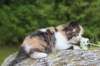 deborahf0323168202613_small.jpg