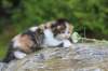 deborahf0323168202616_small.jpg