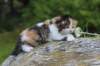 deborahf0323168202617_small.jpg