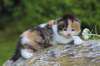 deborahf0323168202618_small.jpg