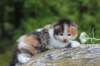 deborahf0323168202619_small.jpg