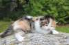 deborahf032316820261_small.jpg