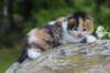 deborahf0323168202620_small.jpg