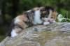 deborahf0323168202621_small.jpg