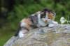 deborahf0323168202622_small.jpg