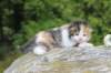 deborahf0323168202623_small.jpg