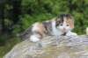 deborahf0323168202624_small.jpg