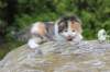 deborahf0323168202625_small.jpg