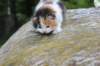 deborahf0323168202626_small.jpg