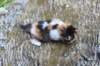 deborahf0323168202628_small.jpg